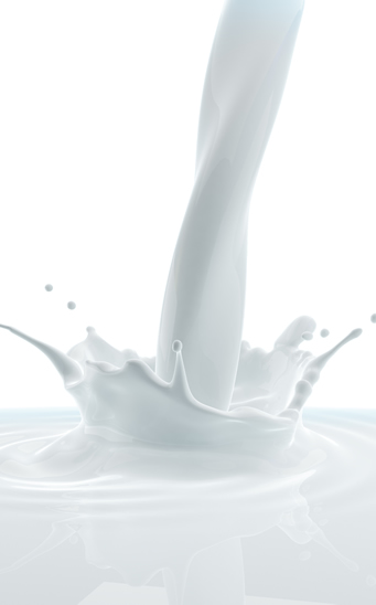 Leche fluida o leche en polvo ¿Qué es mejor? - La Nutrición Blanca