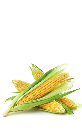 El maíz, base de la alimentación de muchos países del mundo