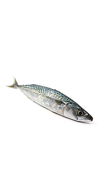 El pescado azul es muy nutritivo y rico en grasas Omega 3