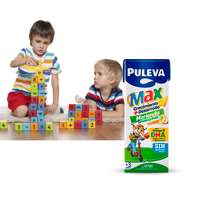 Puleva Max - Leche Merienda Cereales y Fruta, Diciembre 2023